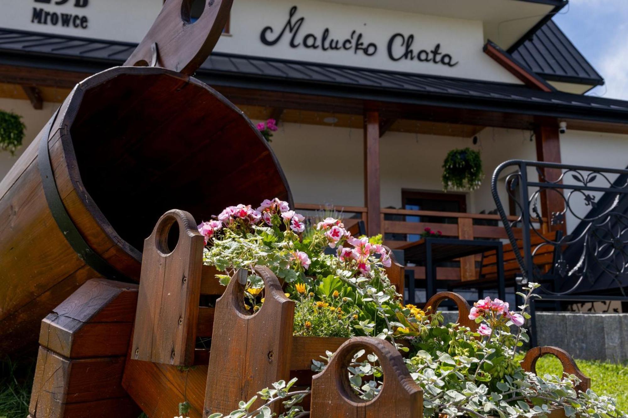 „Malucko Chata” Zakopane Bagian luar foto